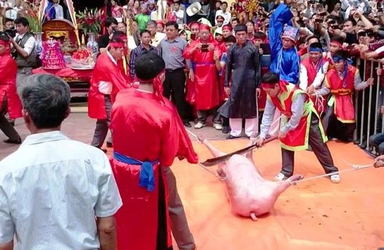 Lễ chém lợn vẫn diễn ra tại làng Ném Thượng ngày Mùng 6 Tết Ất Mùi (24-2) dù dư luận có nhiều ý kiến khác nhau. Ảnh: N.Hưởng Lễ chém lợn vẫn diễn ra tại làng Ném Thượng ngày Mùng 6 Tết Ất Mùi (24-2) dù dư luận có nhiều ý kiến khác nhau. Ảnh: N.Hưởng