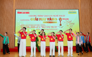 Đề cử Mai Vàng hạng mục nữ diễn viên điện ảnh - truyền hình: Nở rộ đa sắc màu - Ảnh 3.