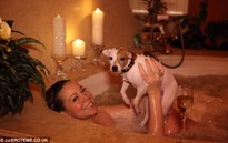 Mariah Carey mạnh tay chi tiền vì... chó cưng!