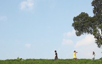 "Dành cho tháng 6" - nhẹ nhàng tuổi học trò