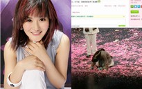 Người đẹp Tạ Na quỳ xin lỗi khán giả vì đến trễ