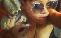 Rihanna vô tình giúp cảnh sát Thái “tóm” tội phạm