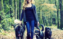 Bị “giết hụt”, ca sĩ Joss Stone tích cực nuôi chó