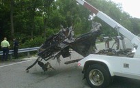 Lái xe tự gây nạn, sao phim “Jackass” qua đời