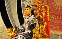 Nghệ sĩ Tâm Tâm bị cướp đẩy ngã dập não