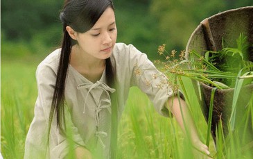327 phim tham dự LHP Quốc tế Hà Nội lần 3