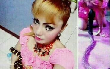 Bị rắn độc cắn trên sân khấu, ca sĩ đột tử